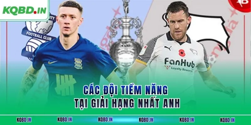 Các đội tiềm năng tại giải hạng nhất Anh